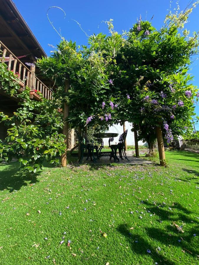 Casa Do Pomar Guest House Braganca Ngoại thất bức ảnh